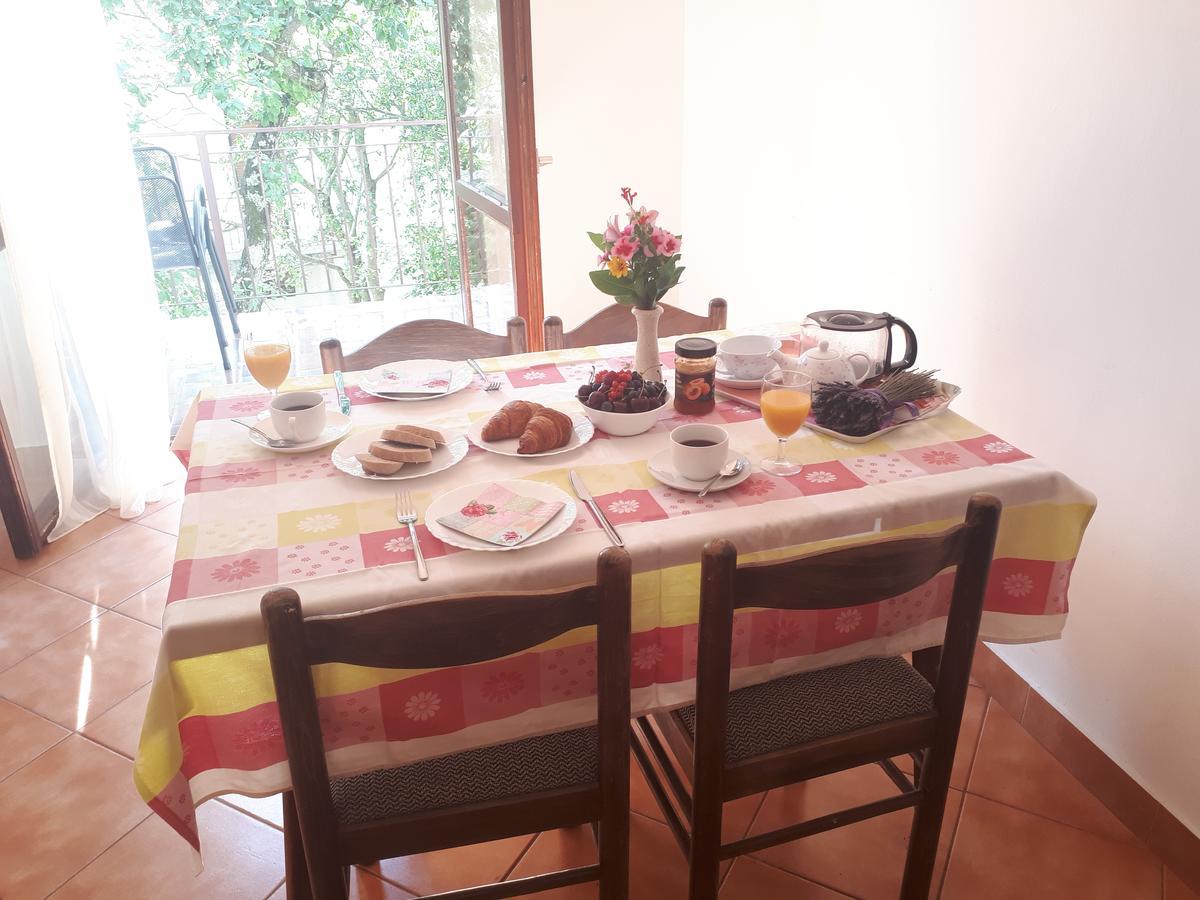 Apartments Dea Poreč Extérieur photo